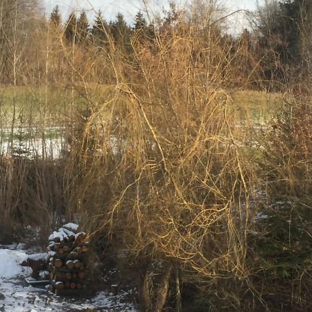 Kirchberg bei Mattighofen Privatzimmer Vermietung Helmut Buergmann מראה חיצוני תמונה